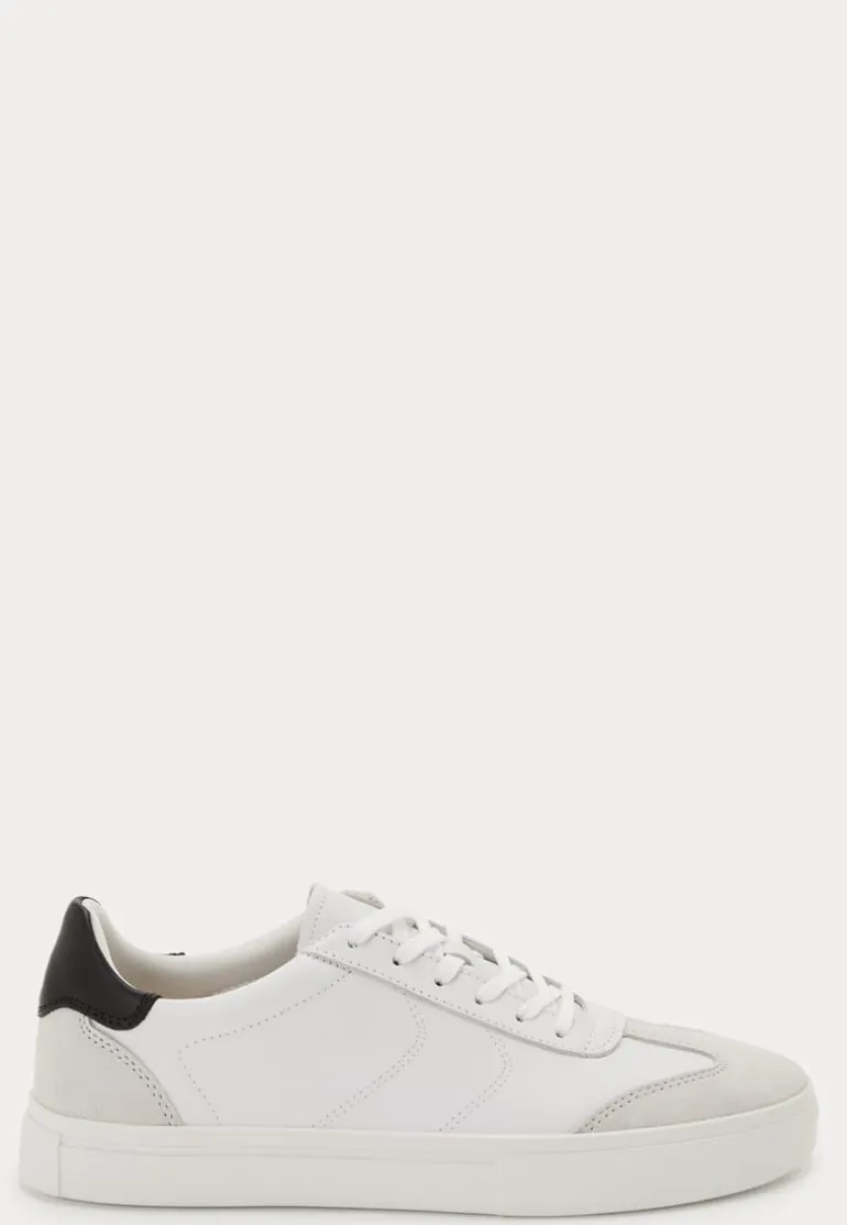 Cody Sneakers