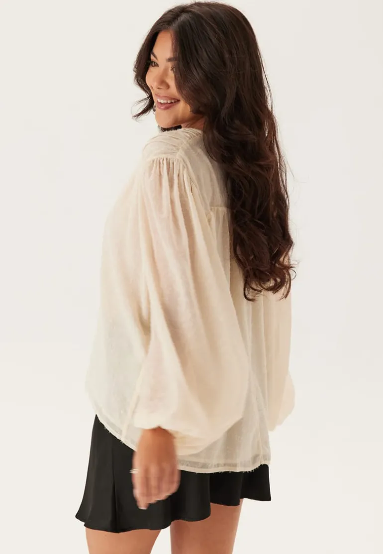Sparkling Chiffon Blouse